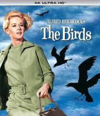 The Birds นก นก นก (1963)