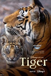 ไทเกอร์ Tiger (2024)