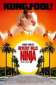 Beverly Hills Ninja ตุ้ยนุ้ยนินจาฮากลิ้ง (1997)