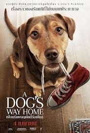 A Dog’s Way Home เพื่อนรักผจญภัยสี่ร้อยไมล์ (2019)